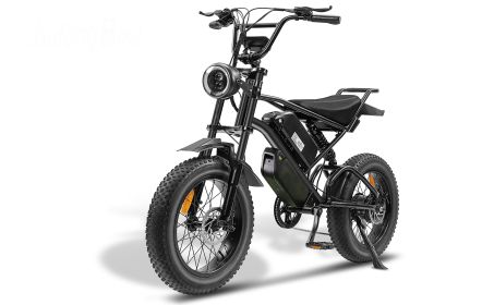 Ebike,1000W Motor,48V30Ah Battery,20 Inches,Maximum Speed 40-50KM (Color: Black)