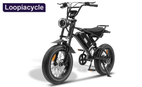 Ebike,1000W Motor,48V15Ah Battery,20 Inches,Maximum Speed 45-50KM (Color: Black)