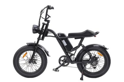 Ebike,750W Motor,48V15Ah Battery,20 Inches,Maximum Speed 40KM-H (Color: Black)